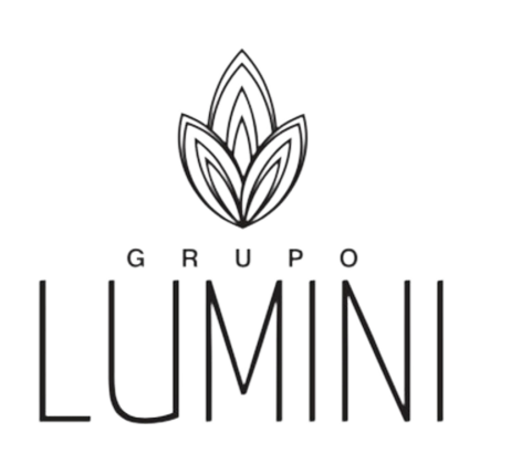 Grupo Lumini